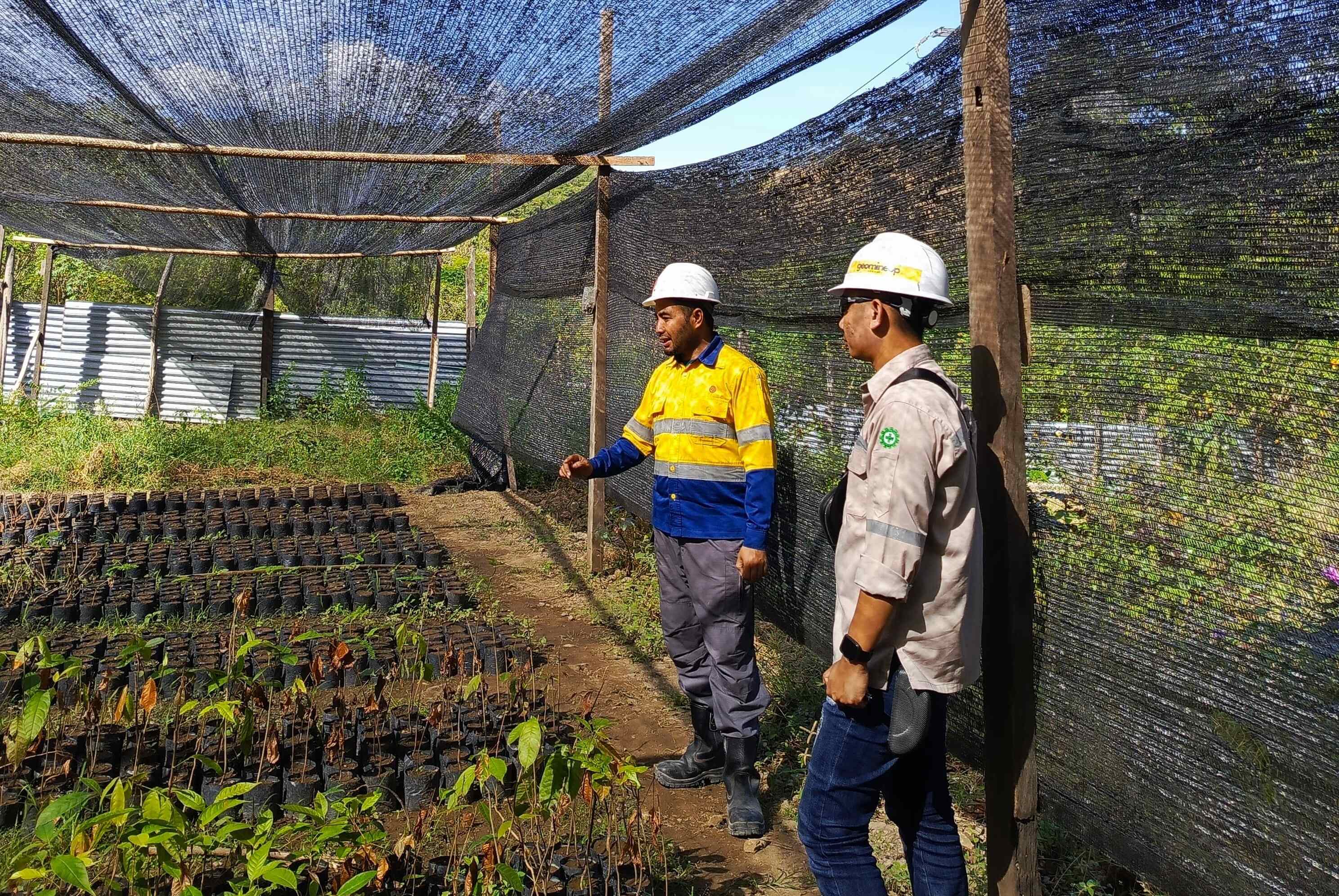 Survei bibit tanaman untuk reklamasi pasca tambang